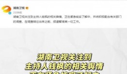 娱乐圈吃瓜语音,幕后真相与明星隐私曝光